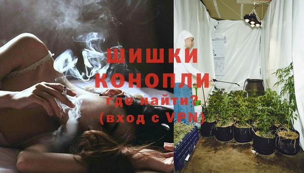 трава Верея